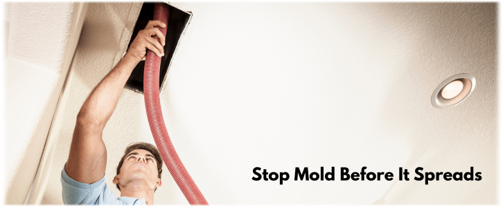 Air Duct Mold Removal in Smyrna GA
